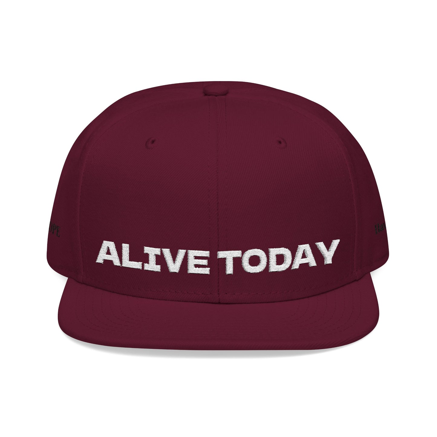 White Font "ALIVE TODAY" Snapback Cap, Embroidered Hat, Casual Streetwear, (Many color variants)