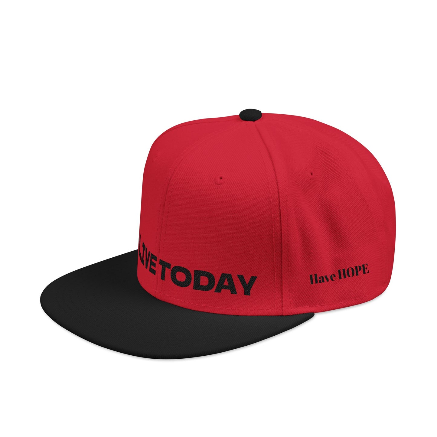 "ALIVE TODAY" Snapback Cap, Embroidered Hat, Casual Streetwear (Many color variants)